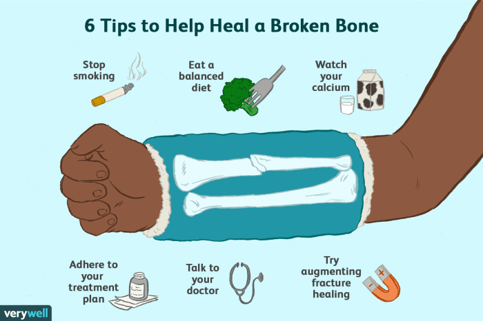 Cartilage tissue tends to heal less rapidly than bone tissue.