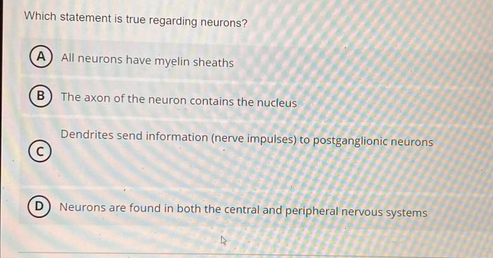Which statement is true regarding neurons