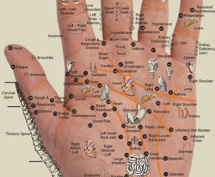 Yao yang guan acupuncture point