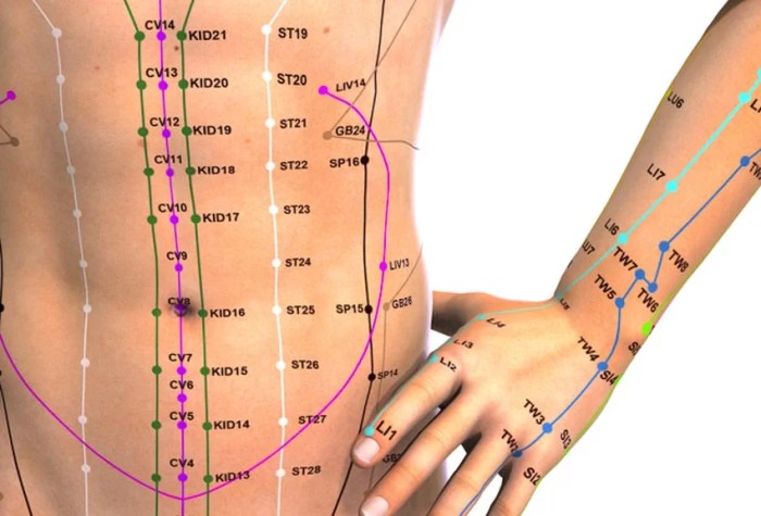 Yao yang guan acupuncture point