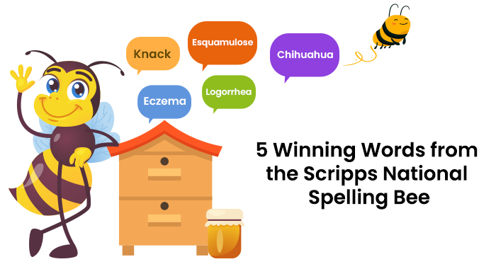 Scripps spelling bee 2024 word list